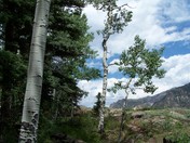 San Juan National Forest