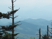 Great Smoky Mountains National Park
