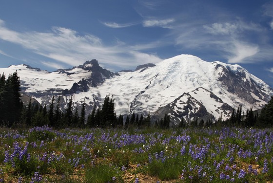 Mt. Rainier National Park