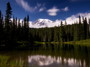 Mount Ranier National Park