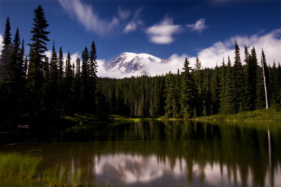 Mount Ranier National Park
