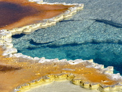 Yellowstone