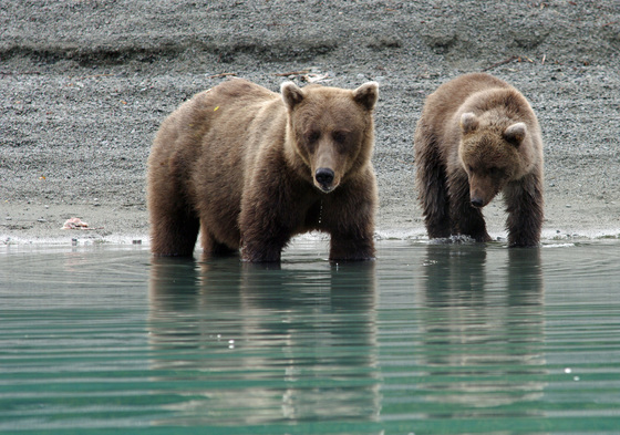 Lake Clark National Park