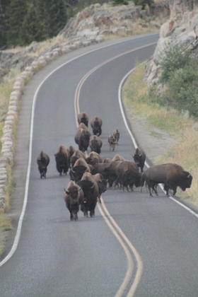 Yellowstone National Park