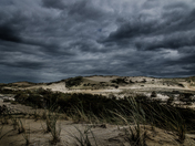 Cape Cod 