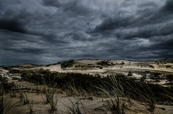 Cape Cod 