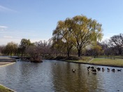 Constitution Gardens