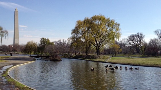 Constitution Gardens