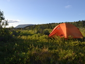 Denali National Park