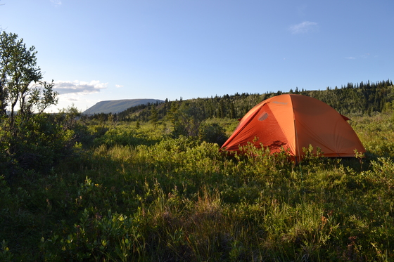 Denali National Park