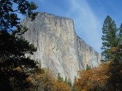 Yosemite National Park