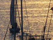 Golden Sail