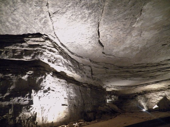 Mammoth Cave National Park