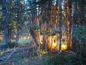 Uintas National Park, Utah
