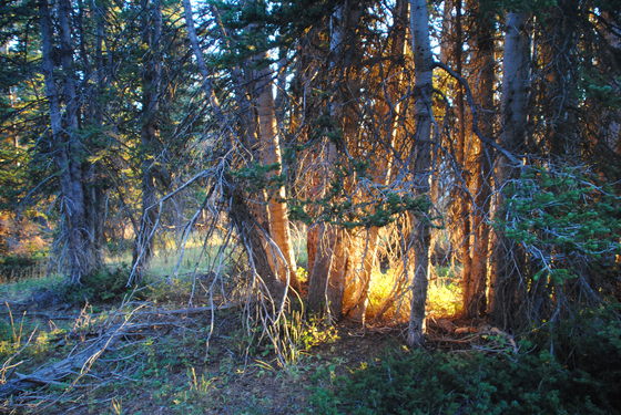 Uintas National Park, Utah