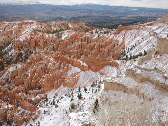 Bryce National Park