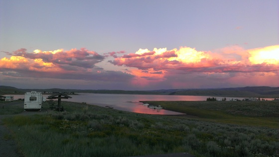 strawberry bay