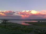 strawberry bay