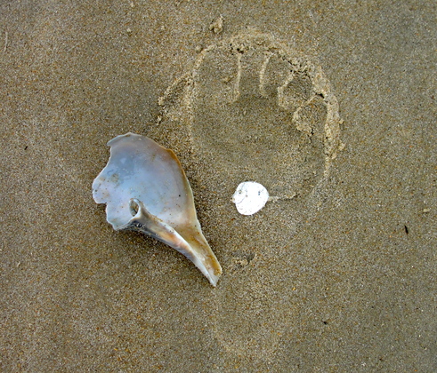 Cape Hatteras National Seashore