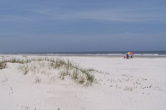 Cumberland Island National Seashore