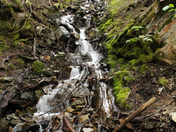 North Cascades National Park Complex