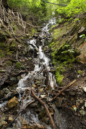North Cascades National Park Complex