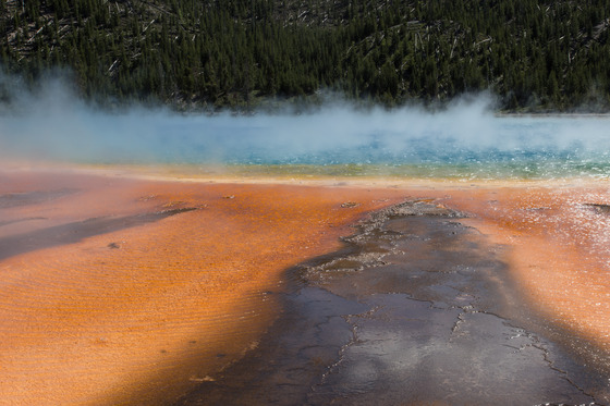 Yellowstone National Park