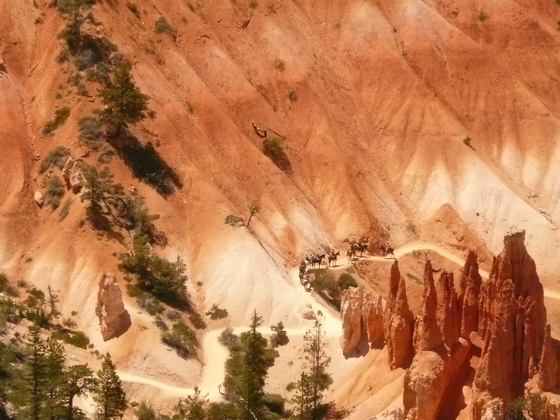 Bryce Canyon