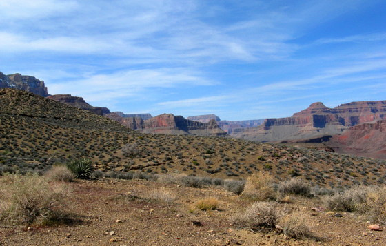 Grad  Canyon