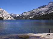 Yosemite National Park