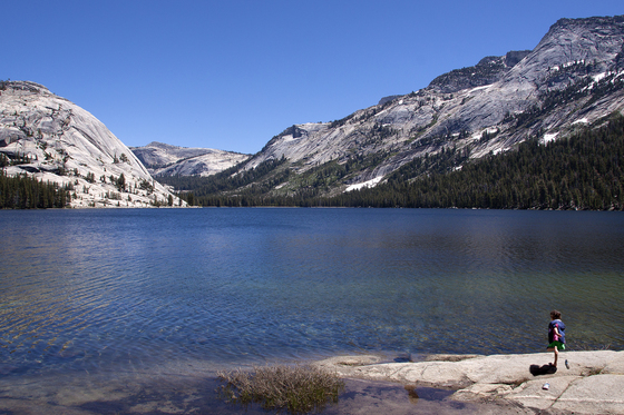 Yosemite National Park