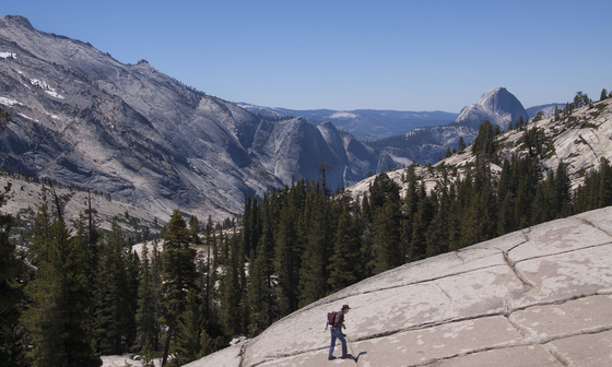 Yosemite National Park