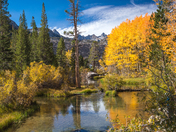 Inyo National Forest