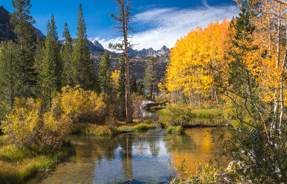 Inyo National Forest