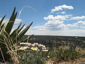 South Rim, Grand Canyon