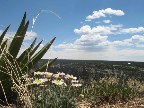 South Rim, Grand Canyon