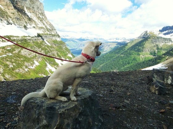 Glacier National Park