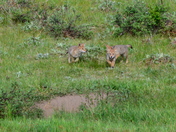 Rocky Mountain National Park