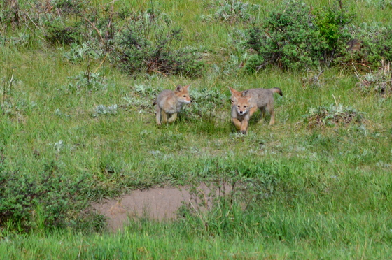 Rocky Mountain National Park