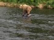 Russian River, Alaska