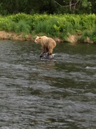 Russian River, Alaska