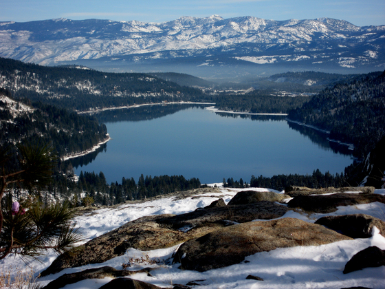 tahoe national forest