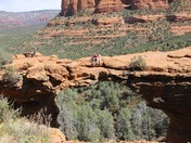 Coconino National Forest
