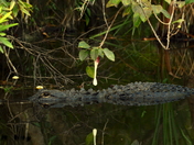 Everglades National Park