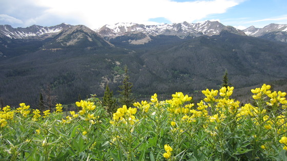 Rocky Mountain National Park