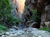 Zion National Park