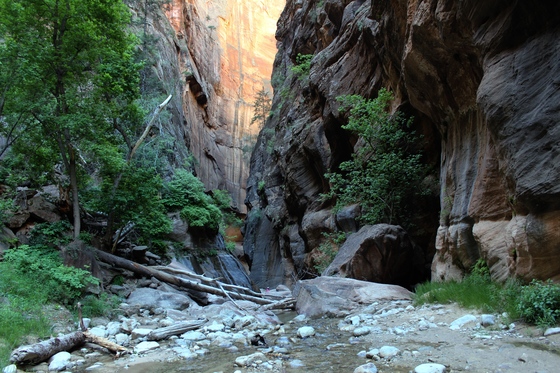 Zion National Park