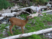 Olympic National Park/Ozette