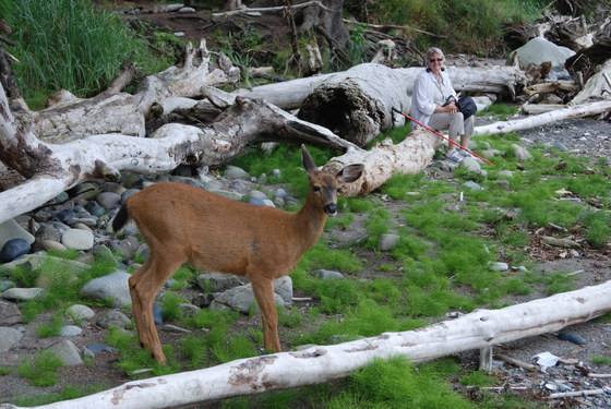 Olympic National Park/Ozette