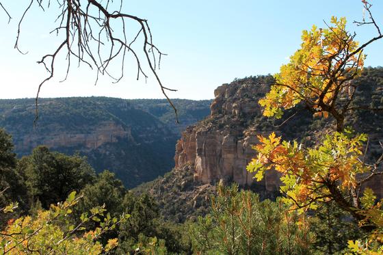 Mesa Verde National Park